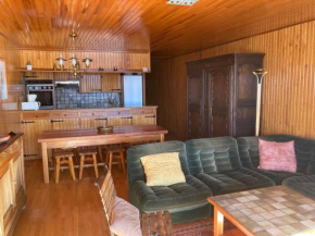 Très bel appartement au cœur de la station
